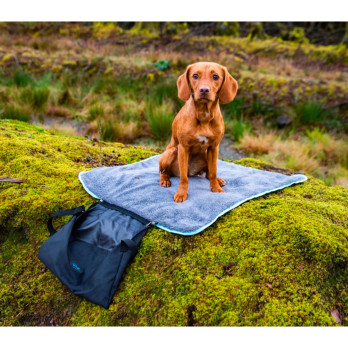 Henry Wag Easy Roll Travel Pet Bed