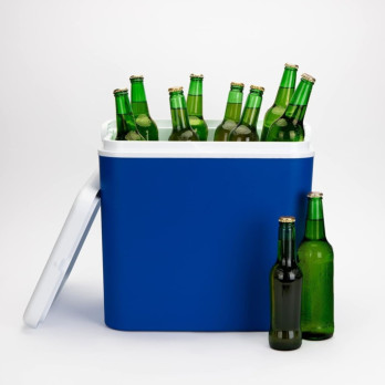 Pendeford Cool Box 24L