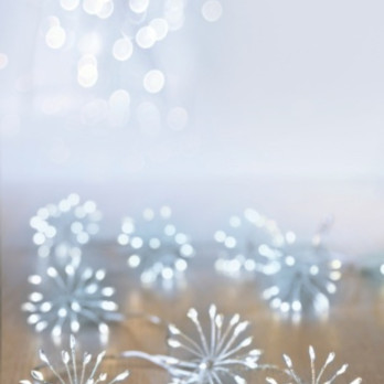 Premier 400 LED Multi Action Starburst Stringlights White