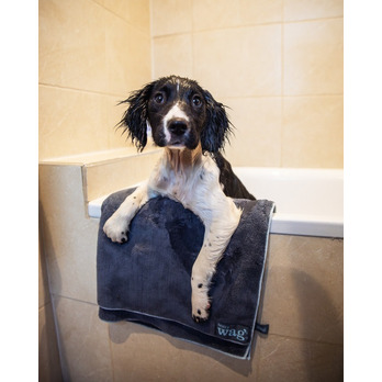 Henry Wag Microfibre Cleaning Towel Large 150 x 100cm