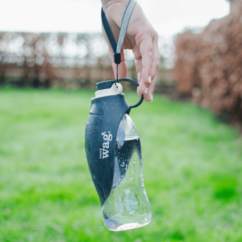 Henry Wag Water Bottle With Leaf Bowl Grey
