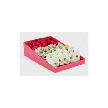 Premier Poinsettia Clip White & Red