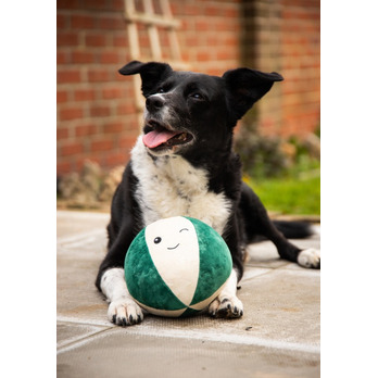 ROSEWOOD Blitzen Bauble - Giggle sound - Engages dogs