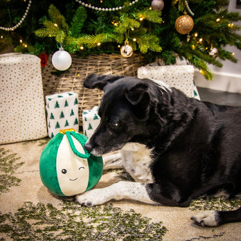 ROSEWOOD Blitzen Bauble - Giggle sound - Engages dogs