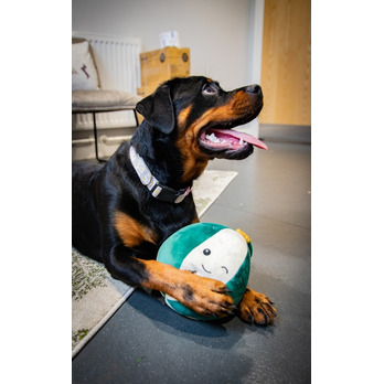 ROSEWOOD Blitzen Bauble - Giggle sound - Engages dogs