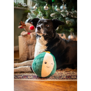 ROSEWOOD Blitzen Bauble - Giggle sound - Engages dogs