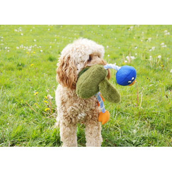 ROSEWOOD Mister Twister Delia Duck Dog Toy -  long lasting playtime fun