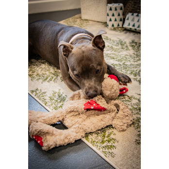 ROSEWOOD Rita Reindeer - gentle play and snuggles