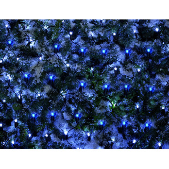 Premier Multi Action Blue White Net Light 360 LED
