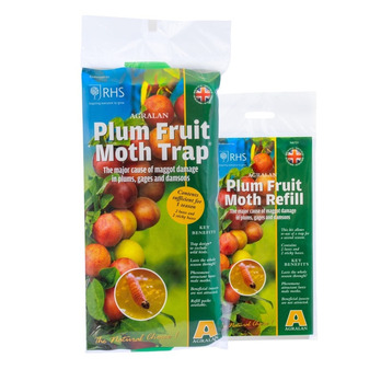 Agralan Plum Fruit Moth Trap Protects up to 3 trees -  reducing egg laying