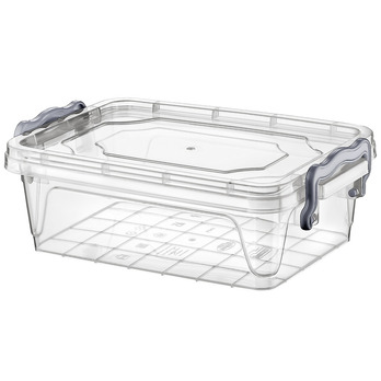 Hobbylife Rectangular Multi Box 2L - Transparent