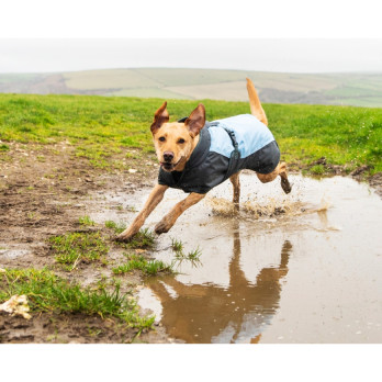 Henry Wag Waterproof Dog Coat Large 55cm