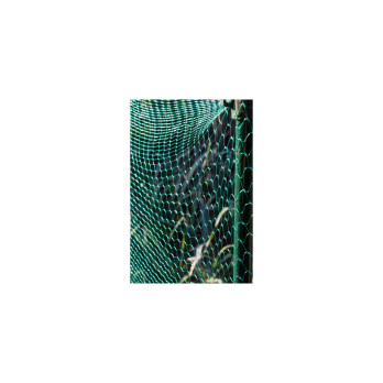 Ambassador Garden Net Green 15mm x 6 x 2m