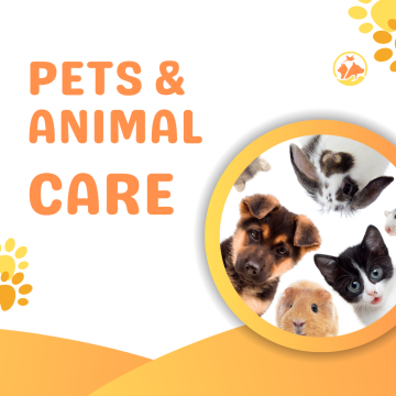 Pets & Animal Care